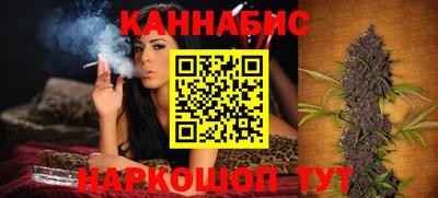 шишки Будённовск