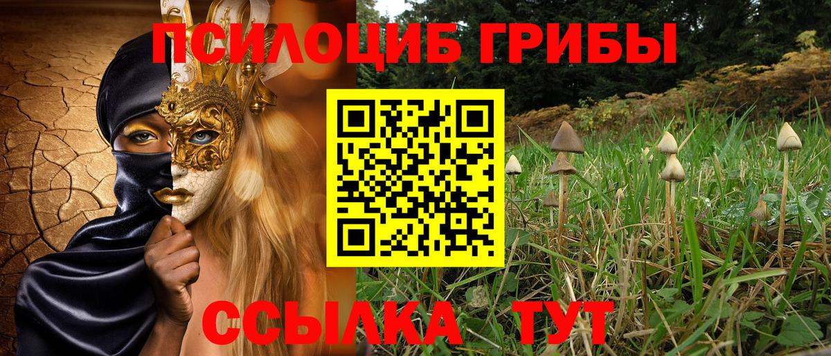 Псилоцибиновые грибы Psilocybine cubensis  что такое наркотик  Полысаево  Вход с VPN 